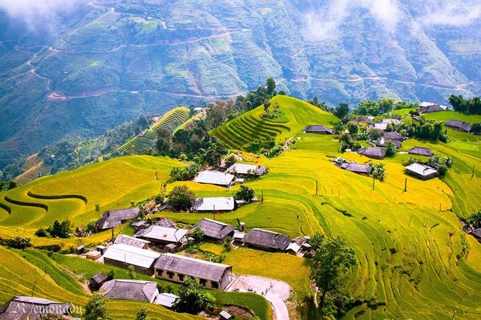 30099-hoang-su-phi-700x466.jpg